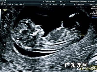 38周胎儿体重还会长吗一般多少斤