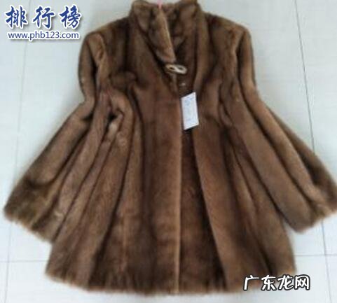 欧貂绒是什么面料 貂皮品牌十大排行榜
