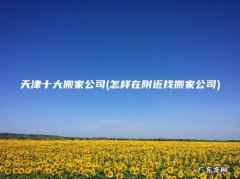 怎样在附近找搬家公司 天津十大搬家公司