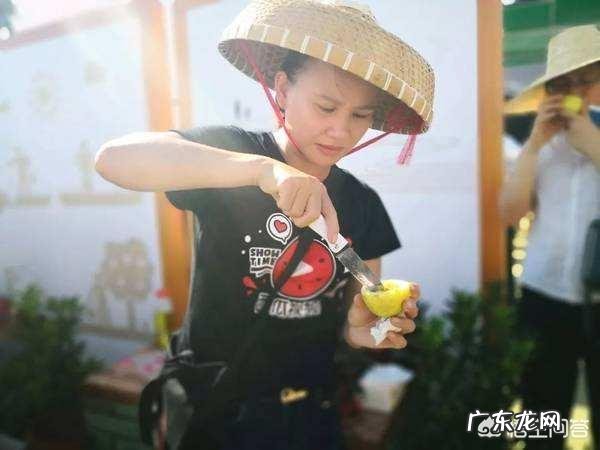 香港人也会听内地的流行音乐吗？内地哪些歌手在香港有影响力？