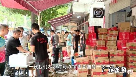 香港人也会听内地的流行音乐吗？内地哪些歌手在香港有影响力？