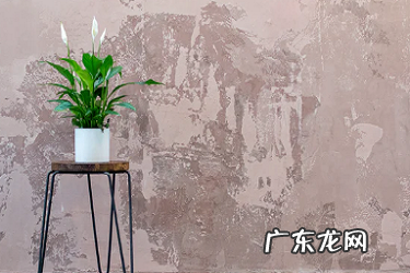 淘宝直播阶梯团什么意思?有哪些类型?