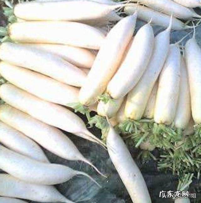 你觉得红萝卜炖排骨好吃吗?