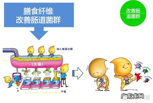 高纤维食物可以减肥吗 吃膳食纤维高的食物就可以减肥吗?