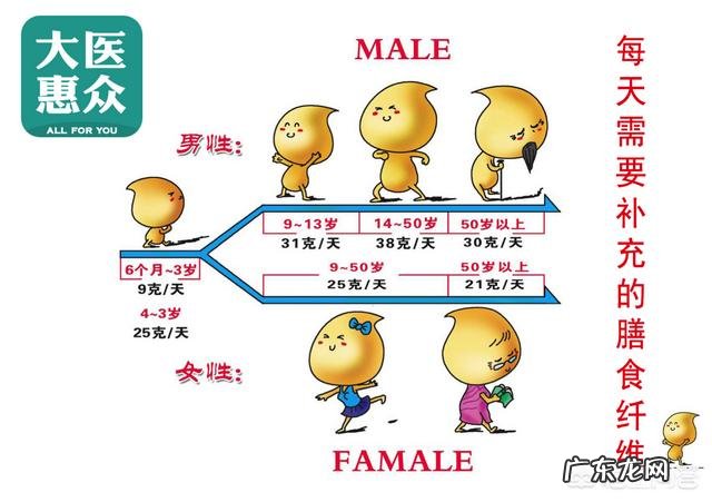 高纤维食物可以减肥吗 吃膳食纤维高的食物就可以减肥吗?
