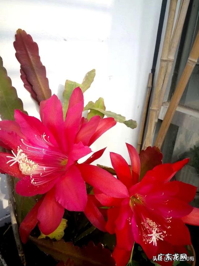 少吃和运动哪个减肥效果最好 请问一下,运动减肥与减少饭量减肥,哪一种减肥更快?