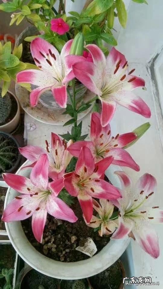 少吃和运动哪个减肥效果最好 请问一下,运动减肥与减少饭量减肥,哪一种减肥更快?