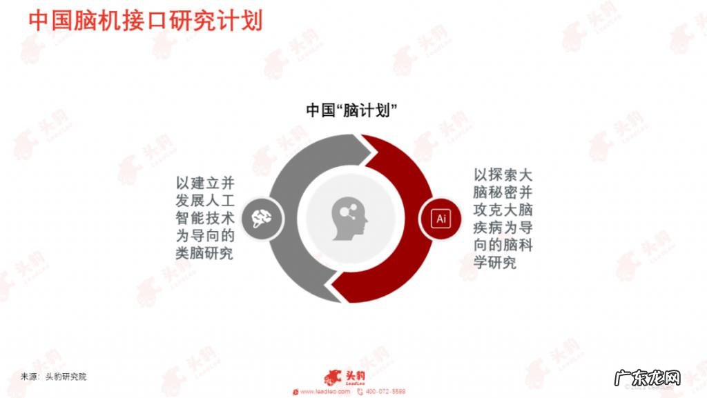 元宇宙或迎“终极形态”?马斯克为何如此力挺脑机接口技术