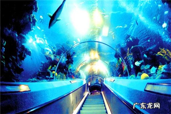 广东亲子游景点排名前十