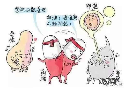 试管取卵一次得那么多,会不会老得快