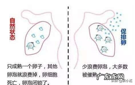 试管取卵一次得那么多,会不会老得快