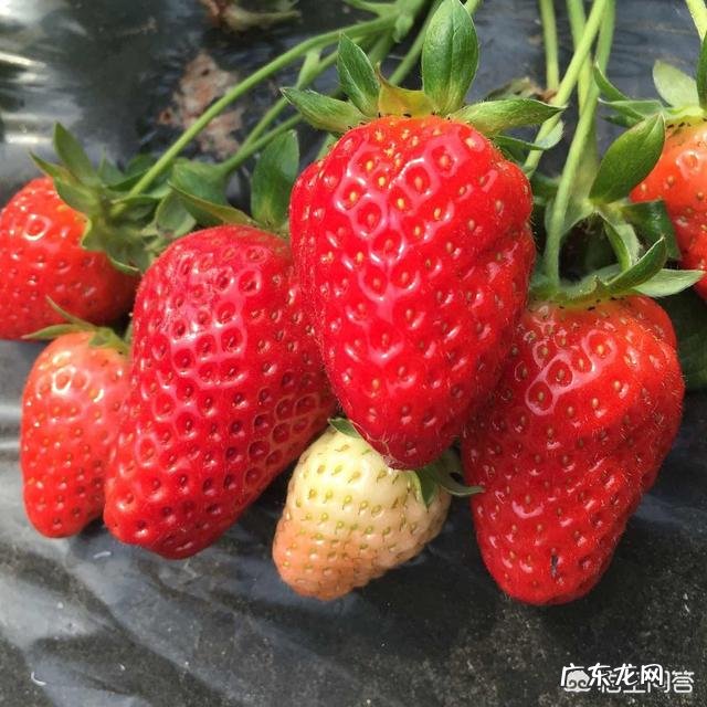 “少吃多餐越吃越胖”你不得不了解的新陈代谢