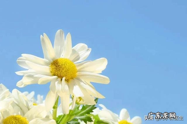 做了若干手术后,体脂只有2% 瘦得很,该怎样恢复身体