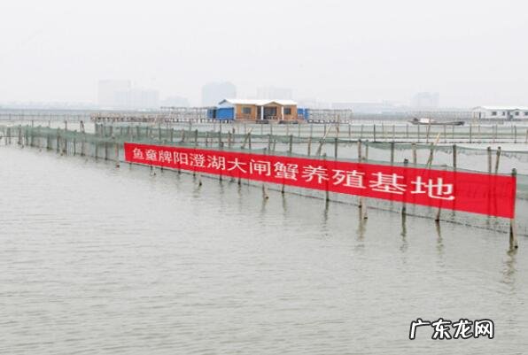 江苏十大著名商标品牌