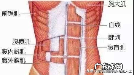 但是很瘦,才90斤多一点,怎么变壮一点啊,我想练出肌肉?