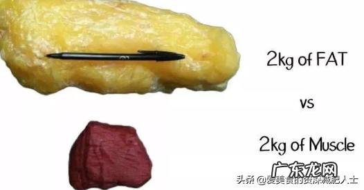 但是很瘦,才90斤多一点,怎么变壮一点啊,我想练出肌肉?