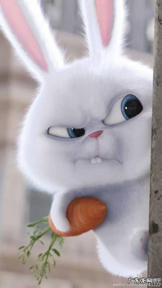 有什么办法可以提亮肤色吗?