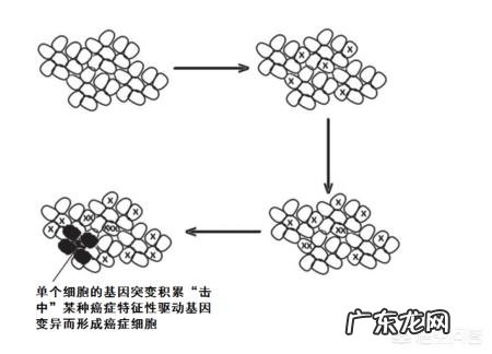为何年年体检,癌症发现时还是晚期