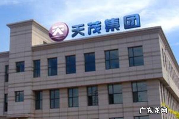 民营企业500强全部名单 2021年湖北民营企业前十名