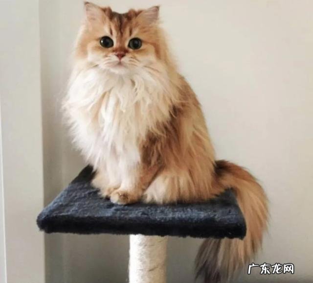 你愿意娶那种健身肌肉很发达的女生么?为什么?