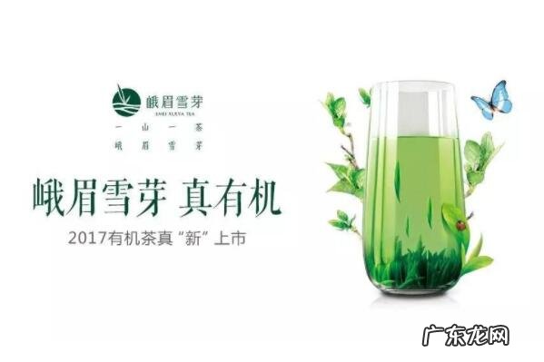 成都知名律师排名榜 十大知名四川茶叶品牌