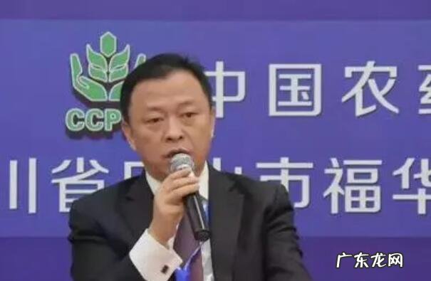 民营企业500强全部名单 2021年四川民营企业前十名