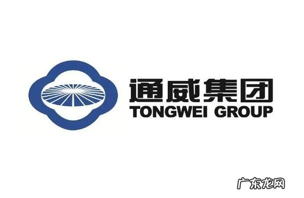 民营企业500强全部名单 2021年四川民营企业前十名