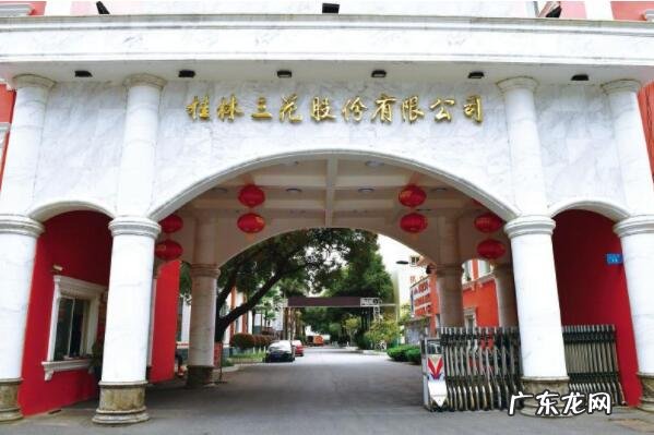 中华老字号老桂林酒 广西九大中华老字号