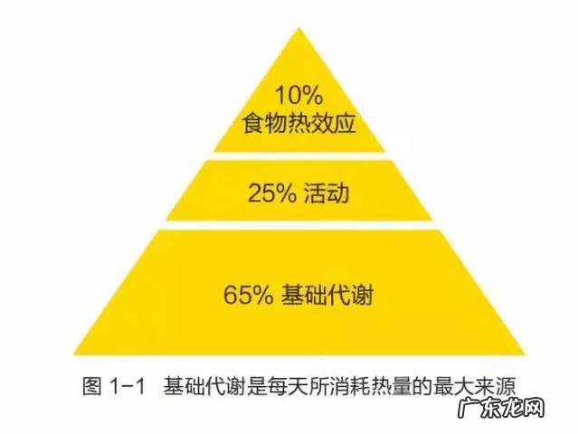 一个月内瘦多少斤合适 正常人一个月最少瘦几斤合适?