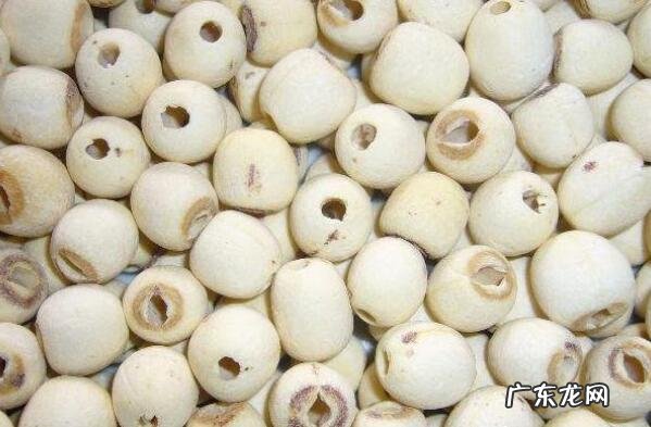 湖南最有名的十大特产 湖南有名的十大特产