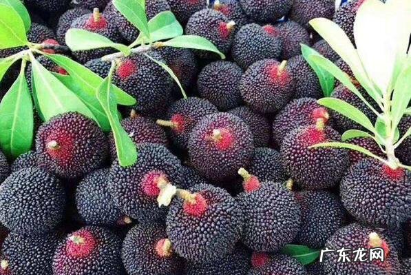 湖南最有名的十大特产 湖南有名的十大特产