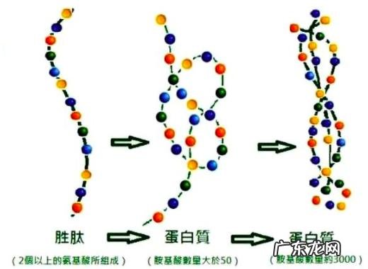 睫毛增长液真的有效吗?哪款效果最好?