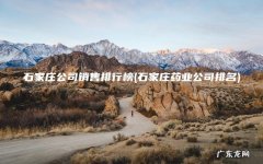 石家庄药业公司排名 石家庄公司销售排行榜