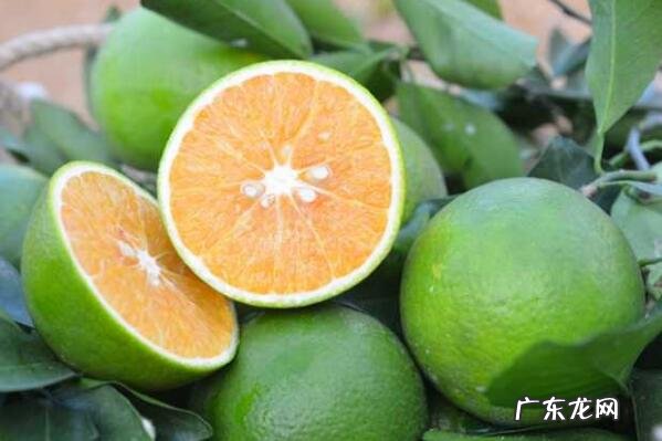 海南特产 海南可以带走的十大特产