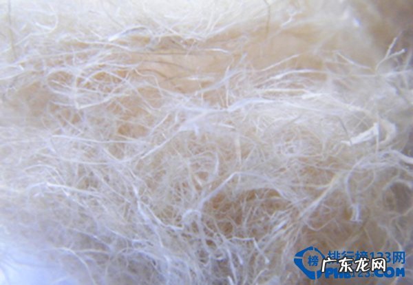 竹纤维内裤哪个牌子好 中国十大竹纤维品牌排行榜