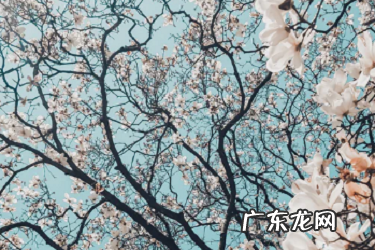 什么是直通车关键词的质量分?影响因素是什么?