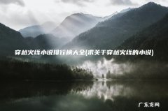 求关于穿越火线的小说 穿越火线小说排行榜大全