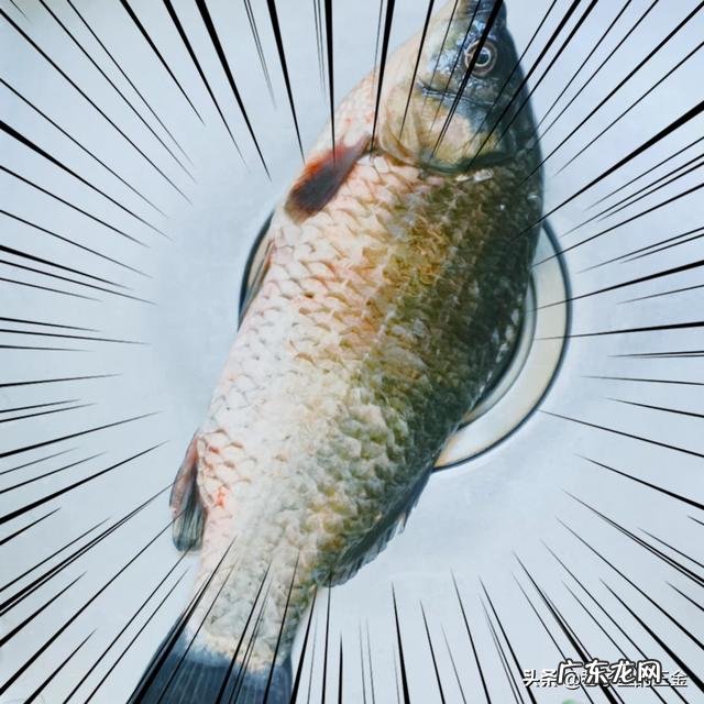 面包热量大还是白馒头或玉米热量大?