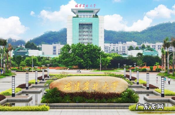福建十所重点名牌大学 福建十大好大学
