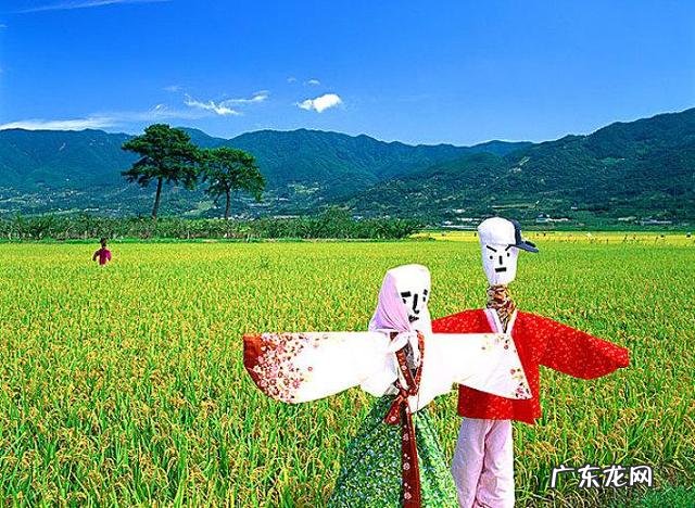 韩国食品特别是水果西瓜肉类这些为什么那么贵?