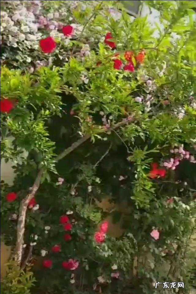 女人对一个人有好感的表现有哪些