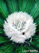 没钱的感情真的有用吗 没有钱的话，夫妻情分会有多脆弱呢？