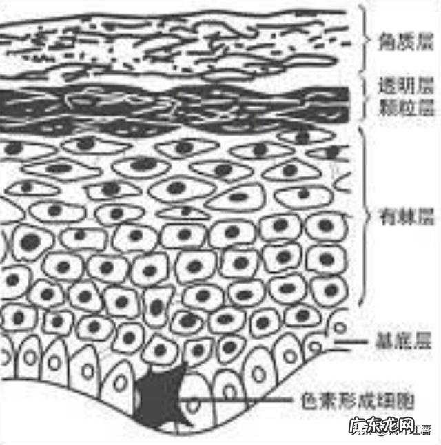 普通人做的皮肤管理靠谱吗 做皮肤管理一个周期是多长时间?