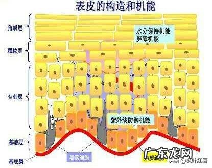 普通人做的皮肤管理靠谱吗 做皮肤管理一个周期是多长时间?