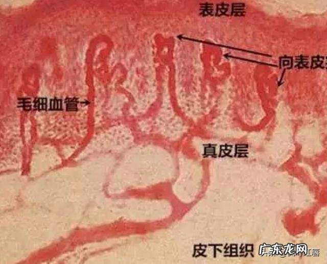 普通人做的皮肤管理靠谱吗 做皮肤管理一个周期是多长时间?