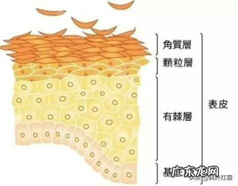 普通人做的皮肤管理靠谱吗 做皮肤管理一个周期是多长时间?