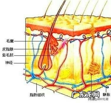 普通人做的皮肤管理靠谱吗 做皮肤管理一个周期是多长时间?