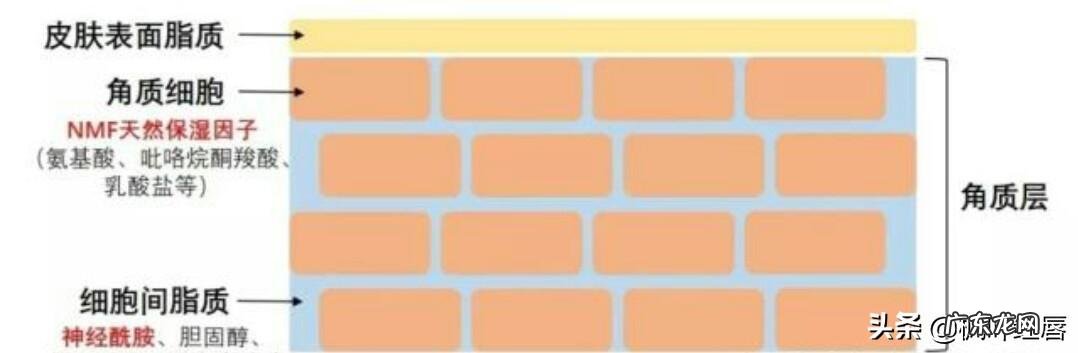 普通人做的皮肤管理靠谱吗 做皮肤管理一个周期是多长时间?