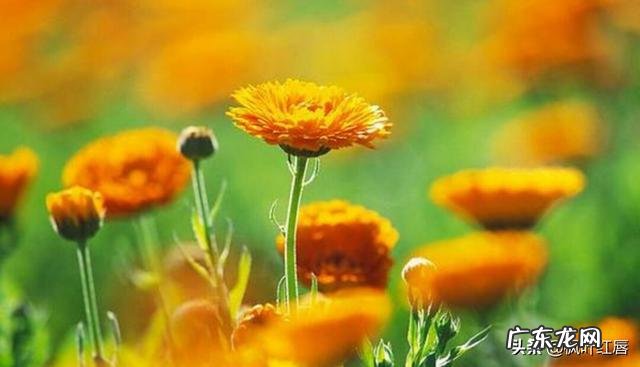 普通人做的皮肤管理靠谱吗 做皮肤管理一个周期是多长时间?