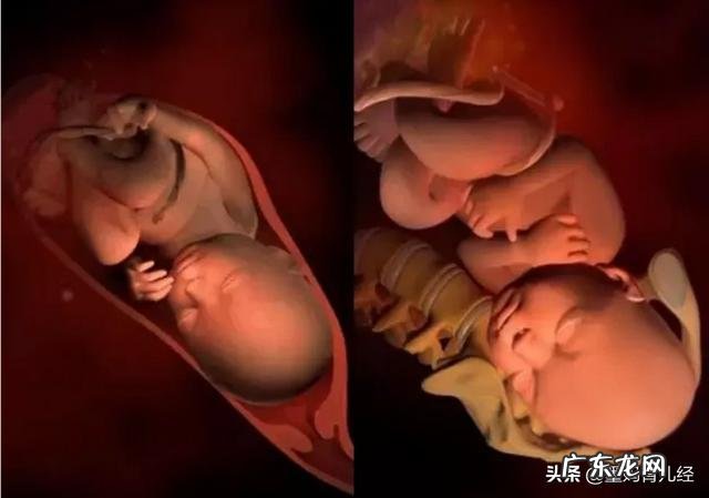 怀孕38周胎儿已经很大了,体重还会再增加吗?